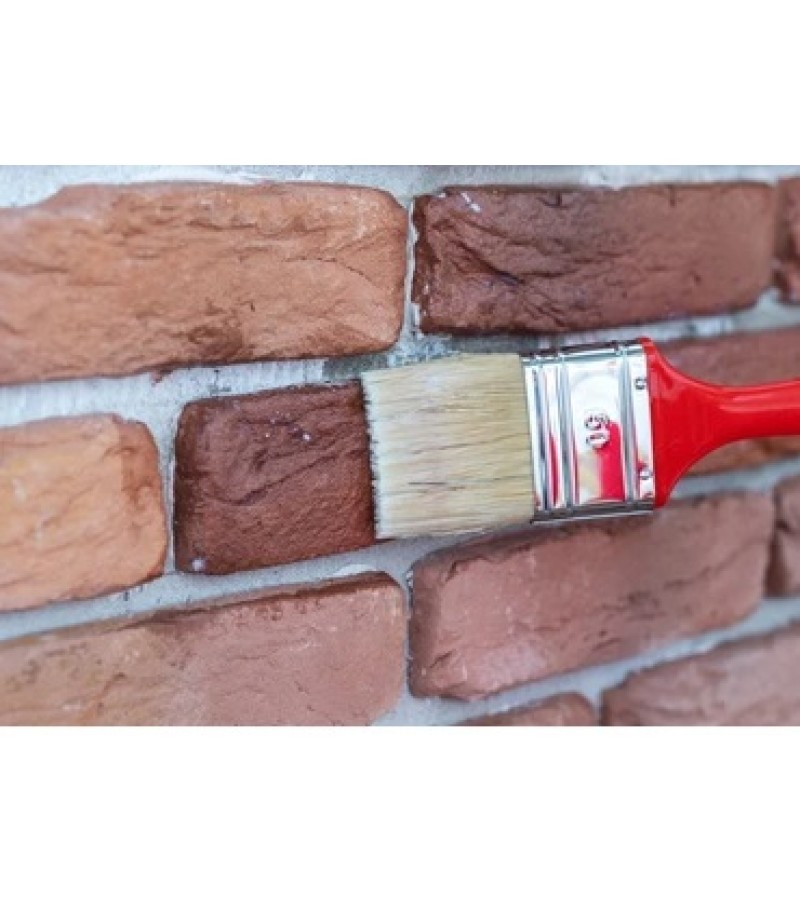 856 - BARS DOĞAL TAŞ VERNİK