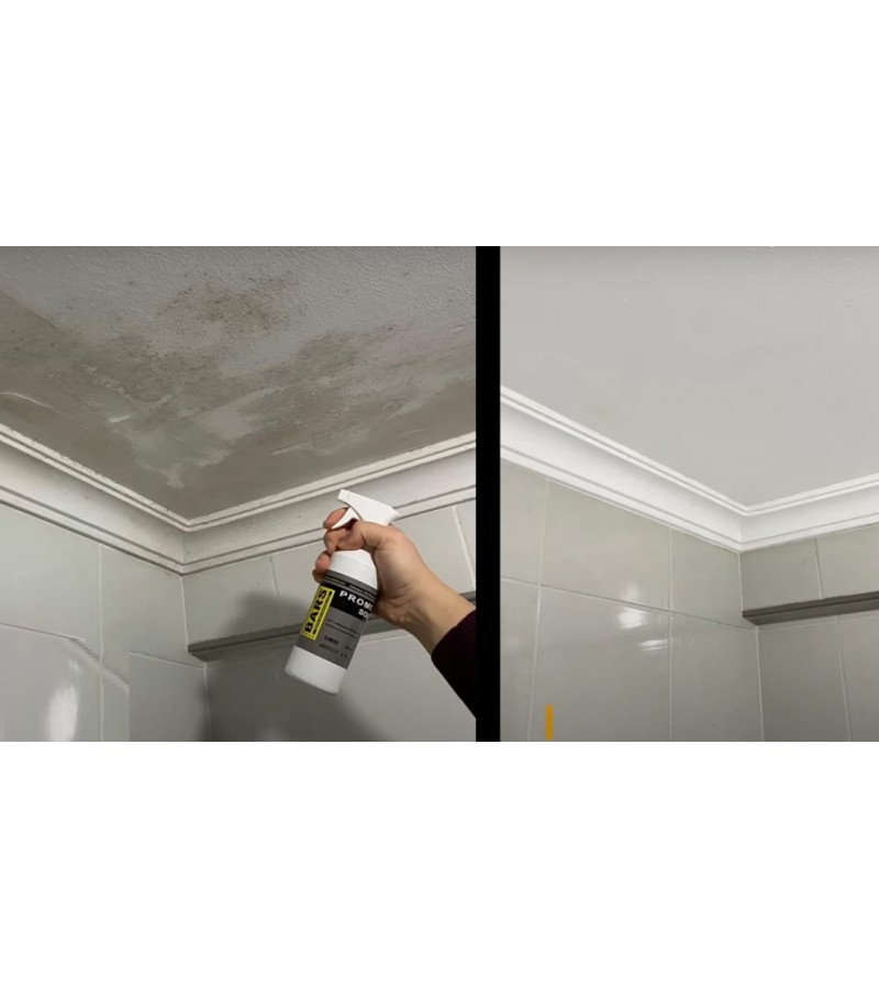 805 - BARS KÜF BOYASI