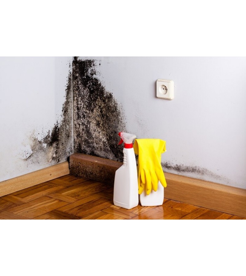 805 - BARS KÜF BOYASI