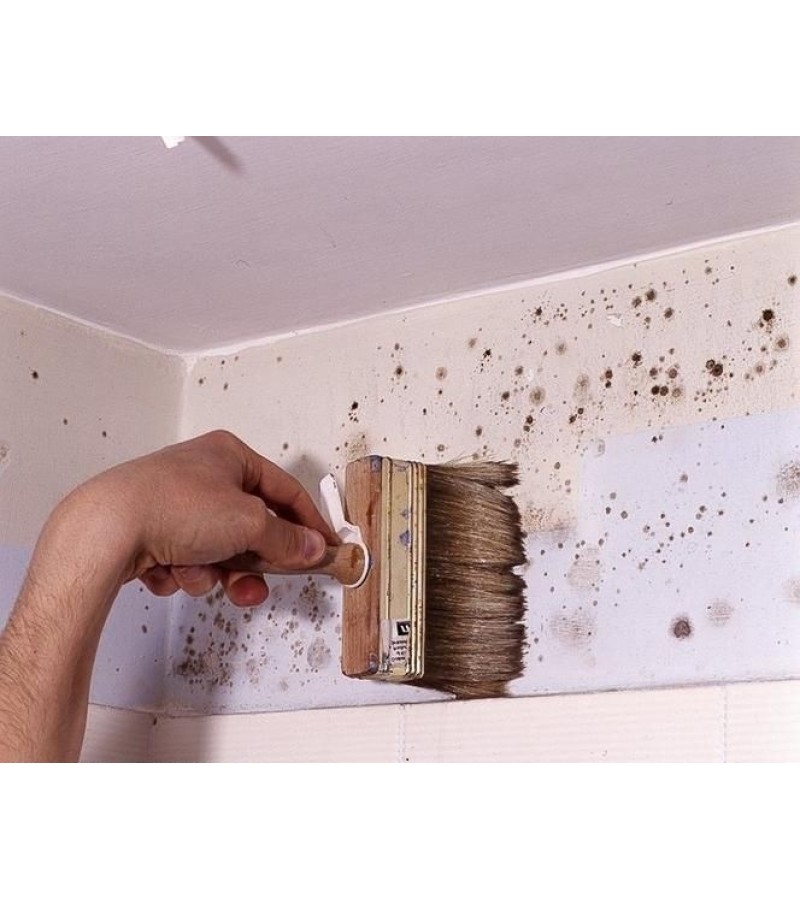 805 - BARS KÜF BOYASI