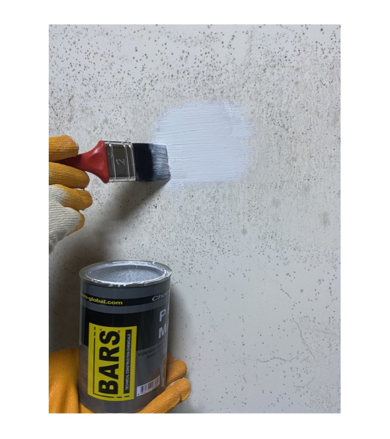 805 - BARS KÜF BOYASI