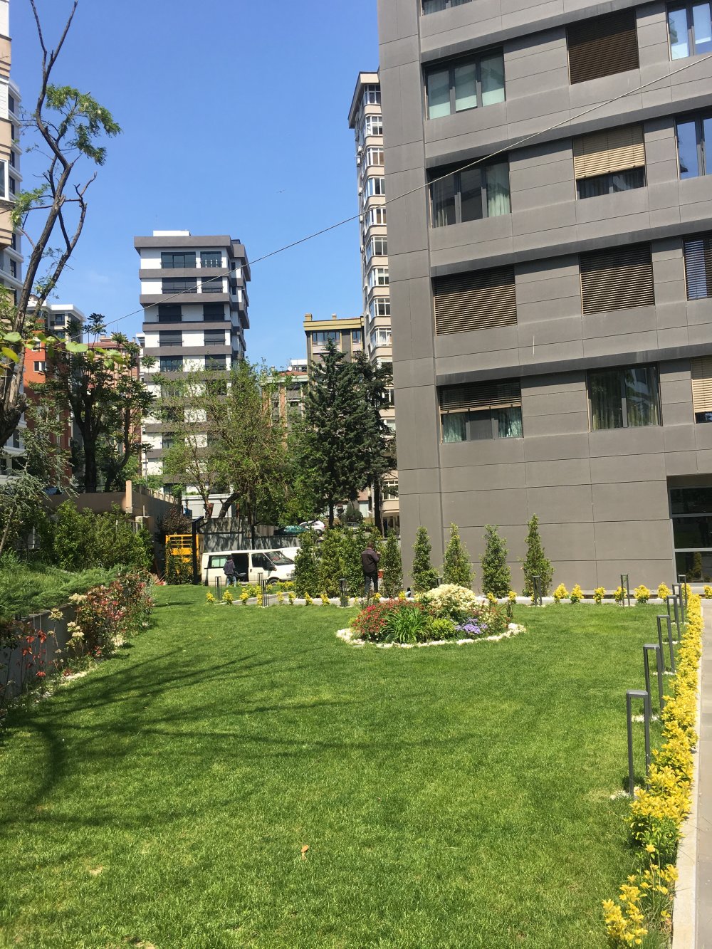 BARS ÇİM BOYASI