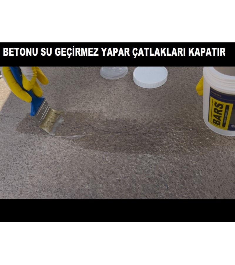BARS SUKESEN / ŞEFFAF ZIRH