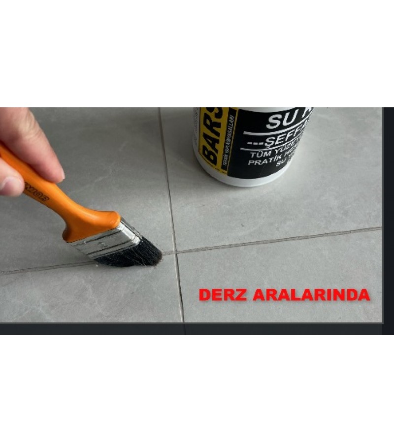 BARS SUKESEN / ŞEFFAF ZIRH