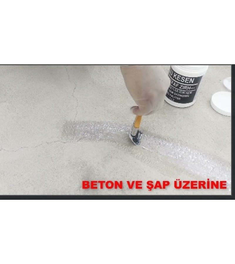 BARS SUKESEN / ŞEFFAF ZIRH