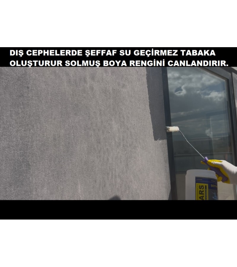 BARS SUKESEN / ŞEFFAF ZIRH