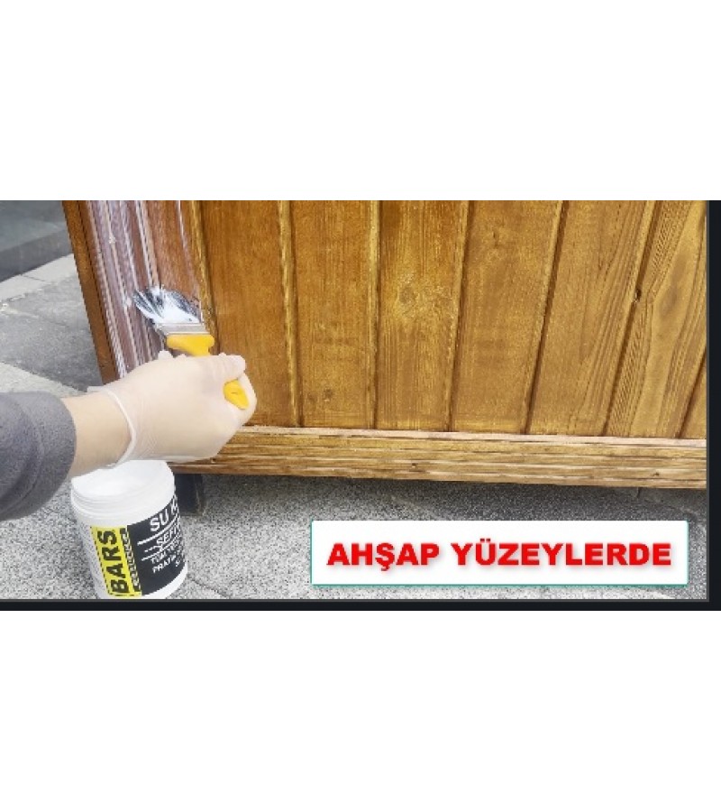 BARS SUKESEN / ŞEFFAF ZIRH